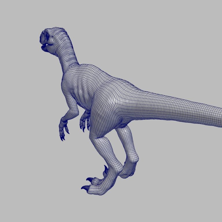 raptor – RIG-IT